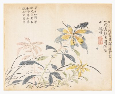 Jardim de sementes de mostarda de Chao Yi (after)