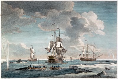 Pesca na Gronelândia, gravura de John Boydell (1719-1804) 1754 (gravura a cores) de Charles (after) Brooking