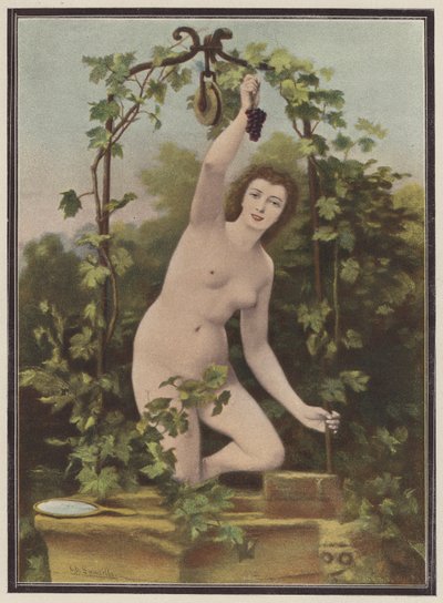 Mulher colhendo uvas de uma videira (lito colorido) de Charles (after) Landelle