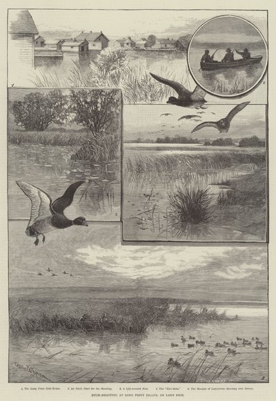 Tiro ao Pato em Long Point Island, no Lago Erie (gravura) de Charles (after) Whymper