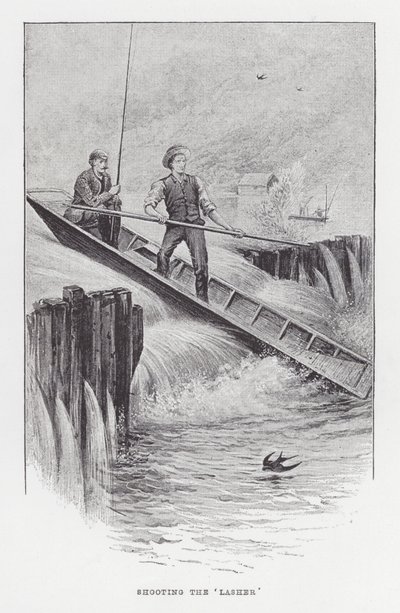 Pesca: Atirar no 