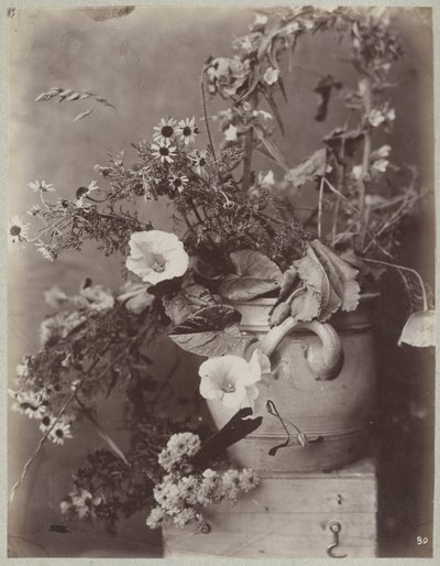 Estudo de flores com vaso de colônia na caixa de Charles Aubry (manner of)