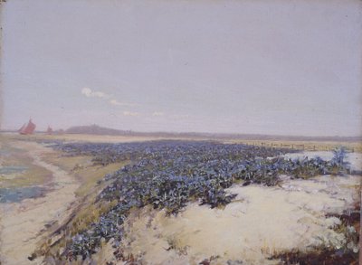 Dunas cobertas de flores (óleo sobre tela) de Charles Augustus Lasar