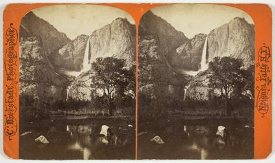 Sem título, 1863-1903 de Charles Bierstadt