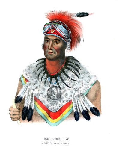 Wapella de Charles Bird (after) King