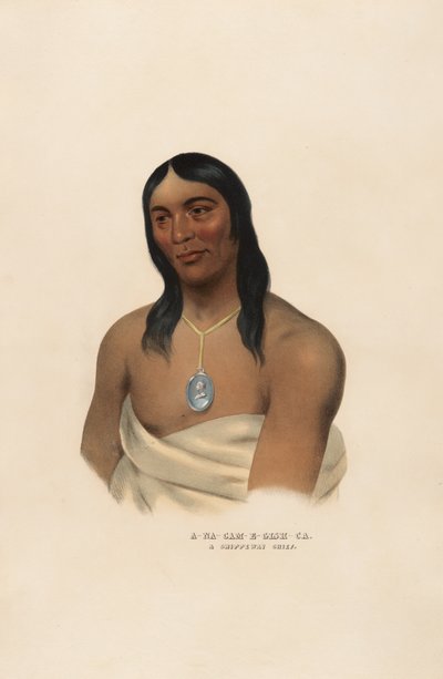 A-na-cam-e-gish-ca de Charles Bird King