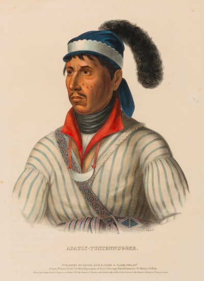 APAULY-TUSTENNUGGEE, de History of the Indian Tribes of North America (História das tribos indígenas da América do Norte) de Charles Bird King