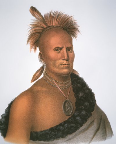 Chefe Sharitarish de Charles Bird King