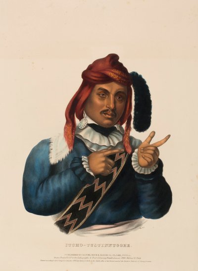 ITCHO-TUSTINNUGGEE, de History of the Indian Tribes of North America (História das tribos indígenas da América do Norte) de Charles Bird King