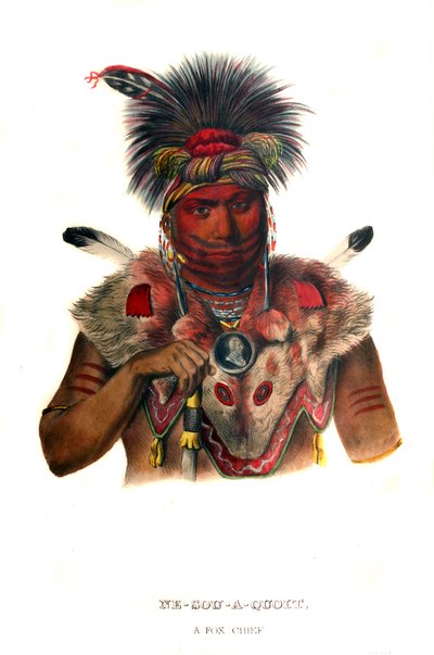 Nesouaquoit (&39;O urso nas forquilhas de uma árvore&39;) de Charles Bird King