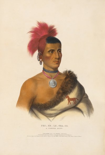  de Charles Bird King
