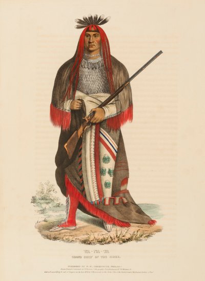 WA-NA-TA. GRAND CHIEF OF THE SIOUX, de History of the Indian Tribes of North America de Charles Bird King