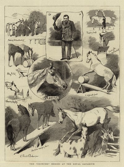 Os cavalos do Broncho no Royal Aquarium de Charles Burton