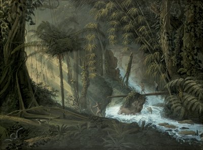 Floresta brasileira de Charles Comte de Clarac