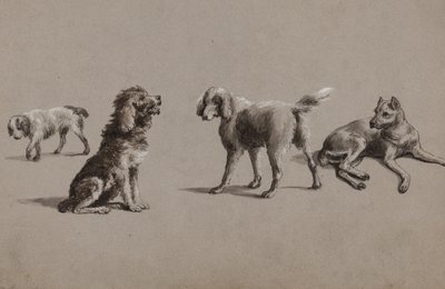 Estudos de cães (caneta, pincel, tinta e guache sobre papel) de Charles Cooper Henderson