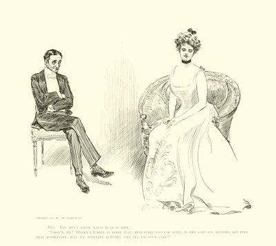 Ilustração para a escada social de Charles Dana Gibson