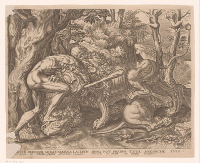 Hércules mantém o leão de Nemean em um estrangulamento Trabalhos de Hércules após Frans Floris (título da série) de Charles David