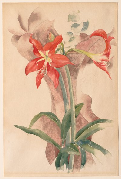 Amarílis de Charles Demuth