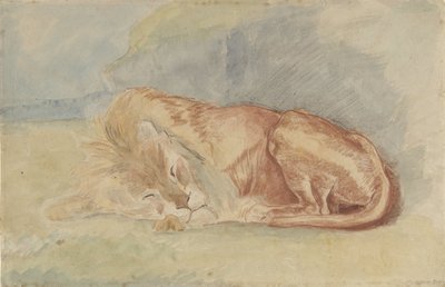 leão adormecido de Charles Edmé Saint Marcel Cabin