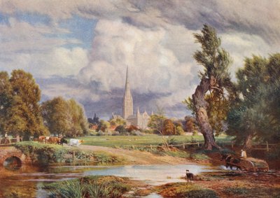 Catedral de Salisbury (litografia a cores) de Charles Edward Johnson