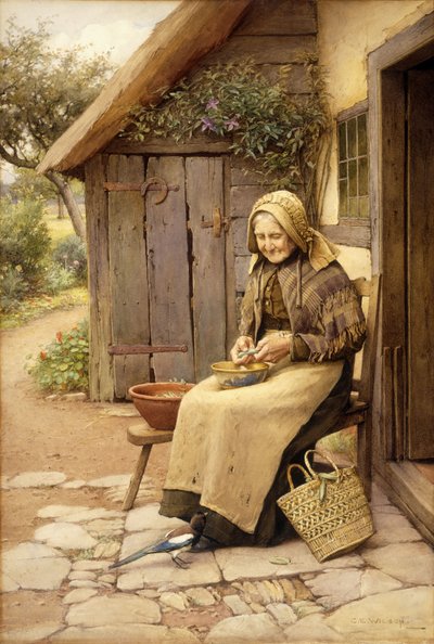 Um amigo com penas finas (w - c no papel) de Charles Edward Wilson