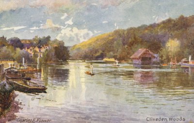 Rio Tamisa: Cliveden Woods (litografia a cores) de Charles Edwin Flower