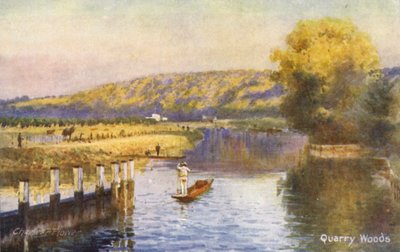 Rio Tamisa: Quarry Woods (litografia a cores) de Charles Edwin Flower