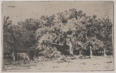 Um canto da floresta de Fontainebleau (gravura) de Charles Emile Jacque