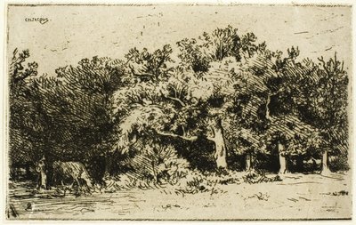 Uma parte da floresta de Fontainebleau de Charles Emile Jacque