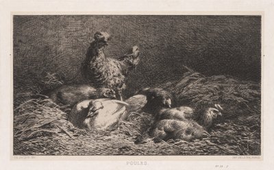 Galinhas de Charles Emile Jacque