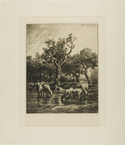 Vacas em um local de rega de Charles Emile Jacque