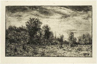 Borda de um bosque, sob céu nublado de Charles Emile Jacque