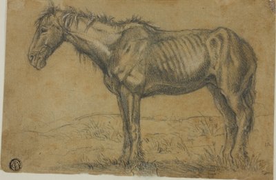 Cavalo emaciado (frente); vista frontal de um cavalo (verso) de Charles Emile Jacque