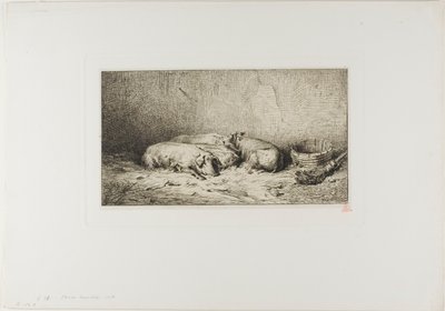 Quatro porcos adormecidos de Charles Emile Jacque