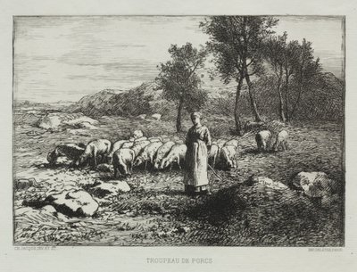 Rebanho de suínos de Charles Emile Jacque
