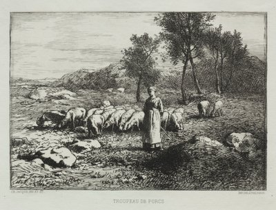 Rebanho de suínos, 1868. de Charles Emile Jacque