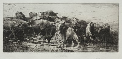 O local de rega de Charles Emile Jacque