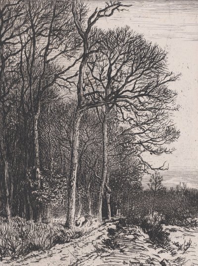 Borda do Bosque, 1846. de Charles Emile Jacque
