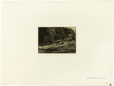 Pomar de Charles Emile Jacque