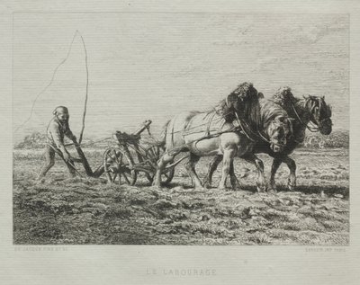 Arar de Charles Emile Jacque