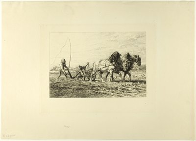 Arar de Charles Emile Jacque