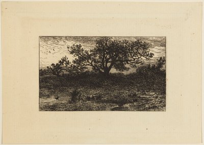 Imprimir de Charles Emile Jacque