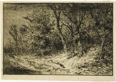 Estrada na borda de uma madeira de Charles Emile Jacque