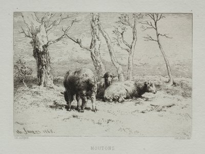 Ovelha, 1868. de Charles Emile Jacque