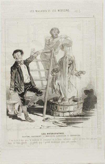 Os Hidropatas: Segundo Tratamento (placa 2) de Charles Emile Jacque