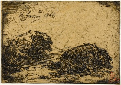 Dois porcos deitados de Charles Emile Jacque