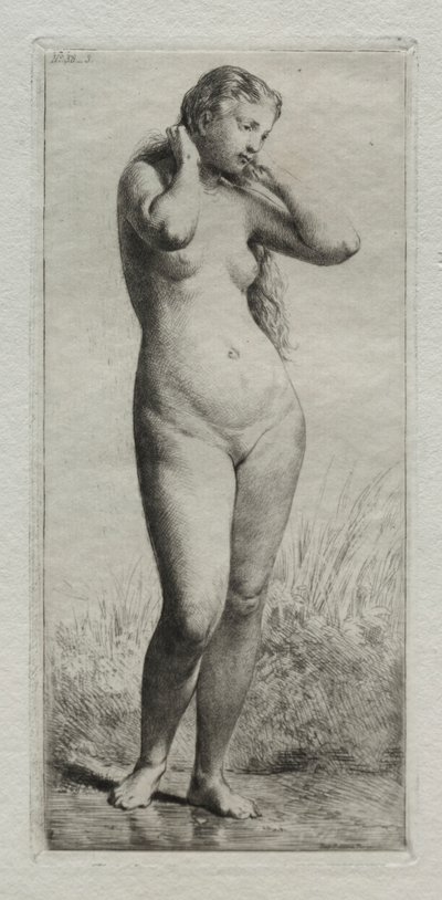 Jovem mulher tomando banho. de Charles Emile Jacque
