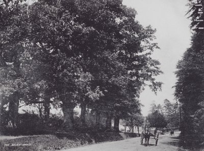 Os Sete Carvalhos (foto a p/b) de Charles Essenhigh Corke