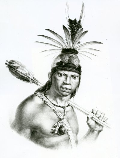 Chefe Camacan Mongoyo de &39;Uma Viagem Histórica e Pitoresca ao Brasil&39; de Jean Baptist Debret, 1834 de Charles Etienne Pierre Motte