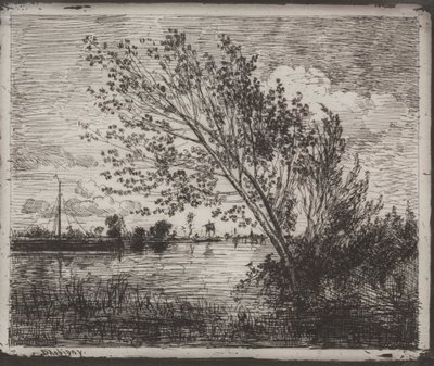 Um aglomerado de amieiros de Charles Francois Daubigny